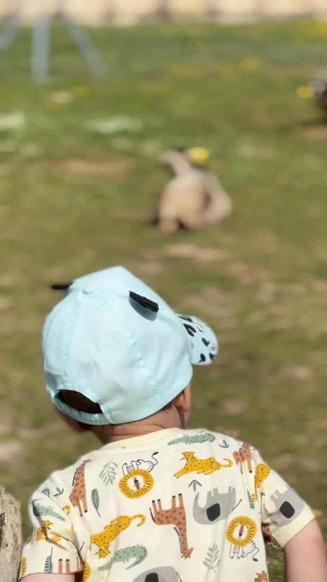 [#Sanvi2urte]
🐣🌿 𝗘𝗴𝘂𝗻 𝘇𝗼𝗿𝗮𝗴𝗮𝗿𝗿𝗶𝗮 𝗯𝗮𝘀𝗲𝗿𝗿𝗶𝗮𝗻! 🌿🐣

Gure 2 urteko txikiek goiz emozioz betea bizi izan dute baserrian: animaliak ukitu, natura esploratu eta aire zabalean jolasten gozatu dute. Esperientzia dibertigarri eta sentsoriala, ahaztezina izango dena!💚

——————

🐣🌿 ¡𝗨𝗻 𝗱í𝗮 𝗲𝗻 𝗹𝗮 𝗴𝗿𝗮𝗻𝗷𝗮! 🌿🐣

Nuestros peques de 2 años han vivido una mañana llena de emociones en la granja: han tocado animales, explorado la naturaleza y disfrutado jugando al aire libre. Una experiencia sensorial y divertida que no olvidarán.💚

#SanviHH #AprenderJugando #UnDíaEnLaGranja
#JolastuzIkasi #EgunBatBaserrian